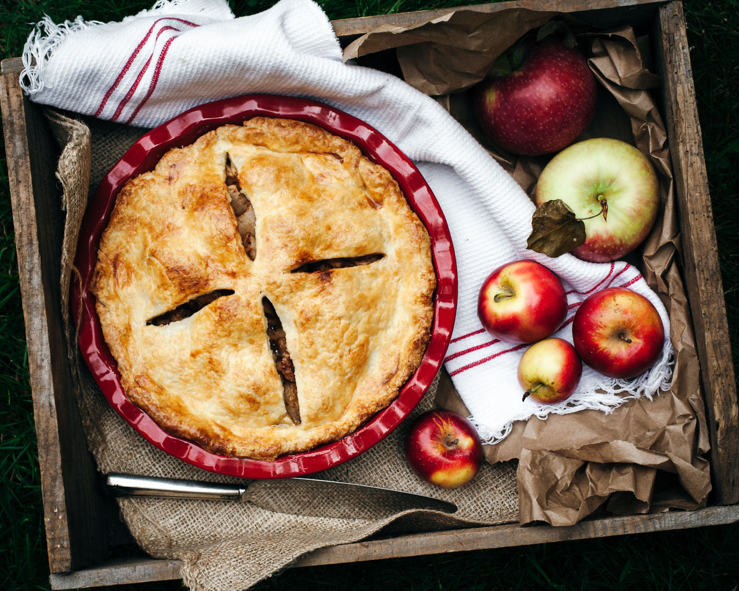 Fall Fruit Desserts: Wintersweet Vol. 2 (digital zine)