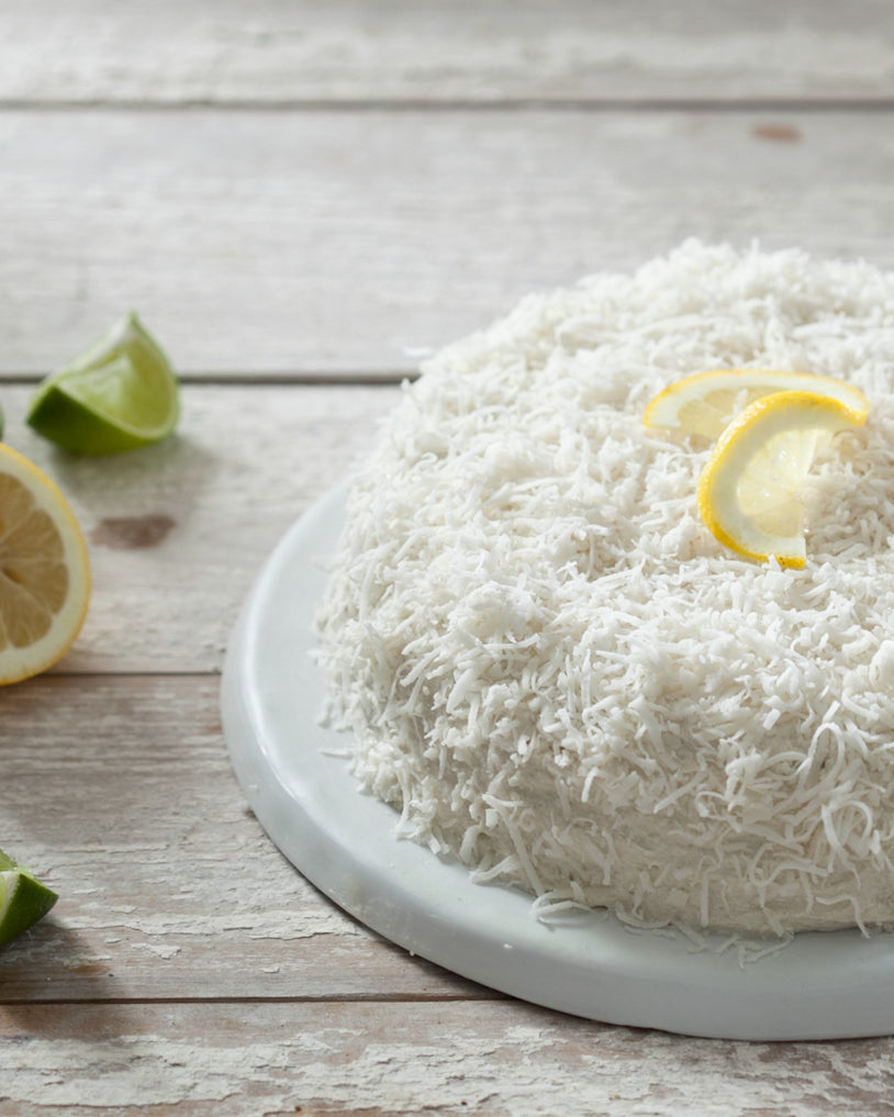 Citrus Desserts: Wintersweet Vol. 5 (digital zine)